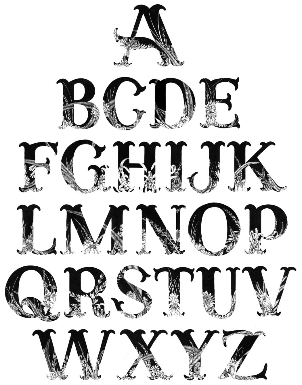 Grille de lettres de l'alphabet, chacune ornée d'éléments floraux et botaniques différents en dessin au trait.