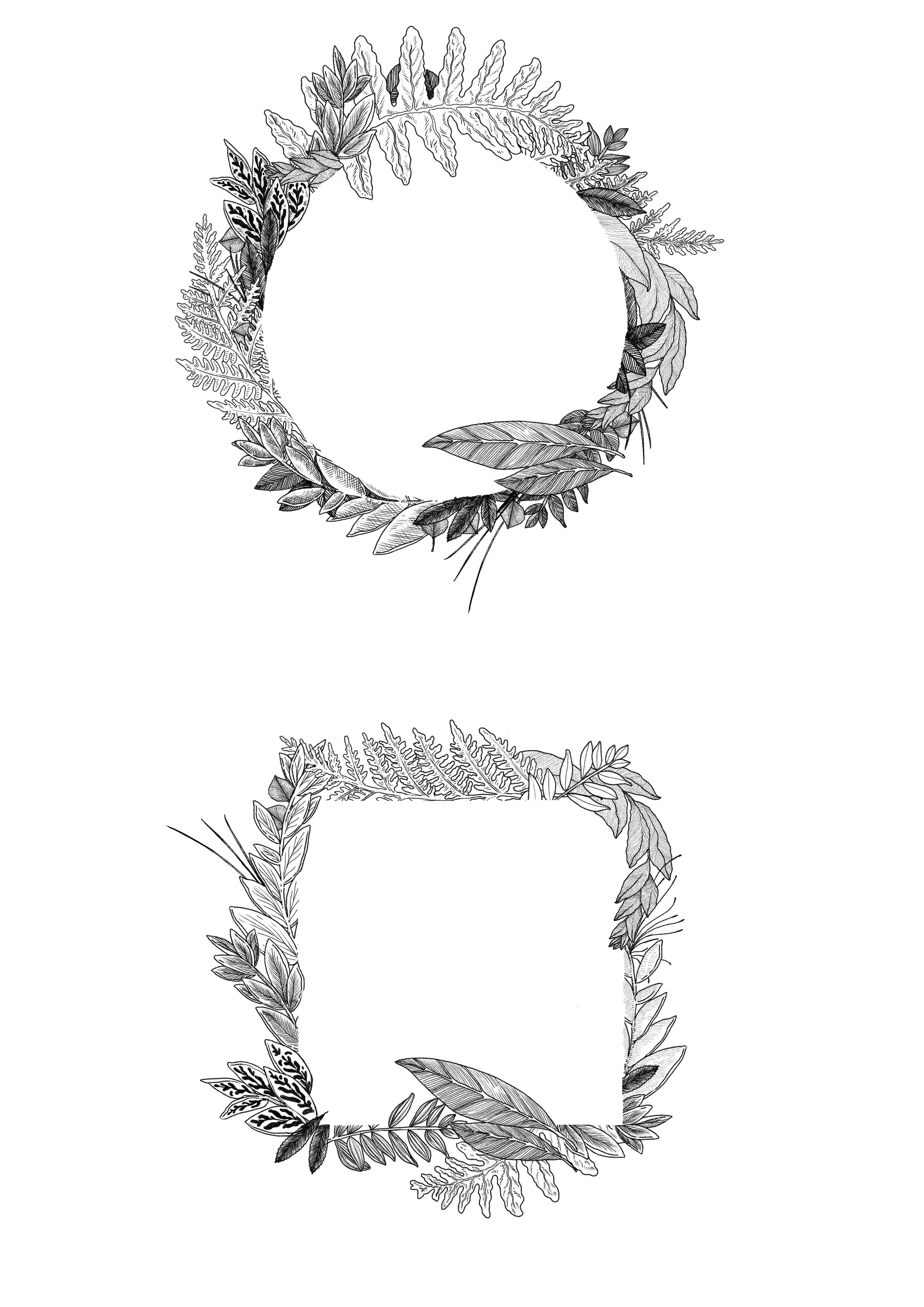 Plusieurs cadres ornementaux circulaires et ovales composés de feuilles et de fleurs botaniques détaillées au trait fin.