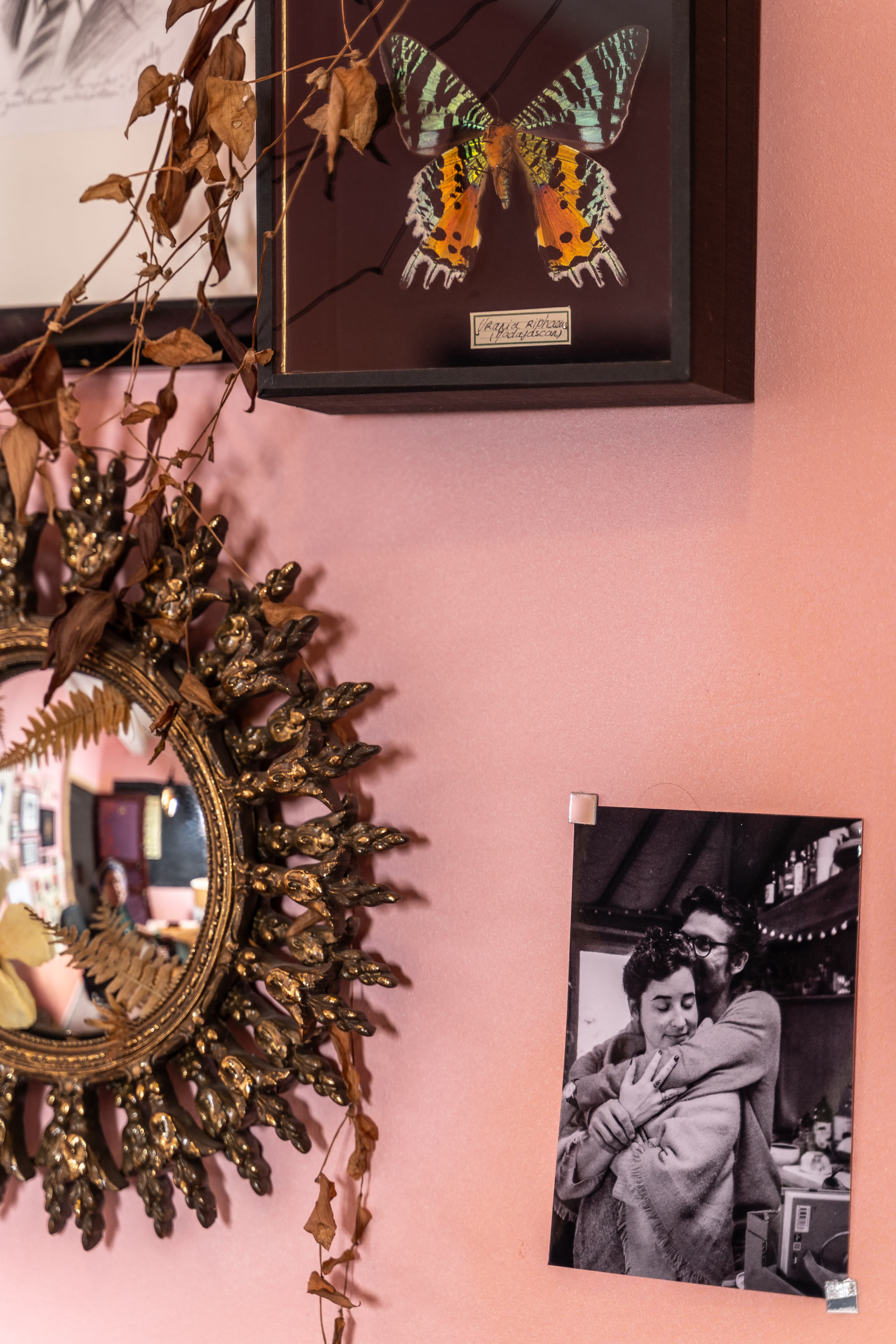 Mur du studio orné d'une illustration papillon et d'un miroir encadré, style galerie
