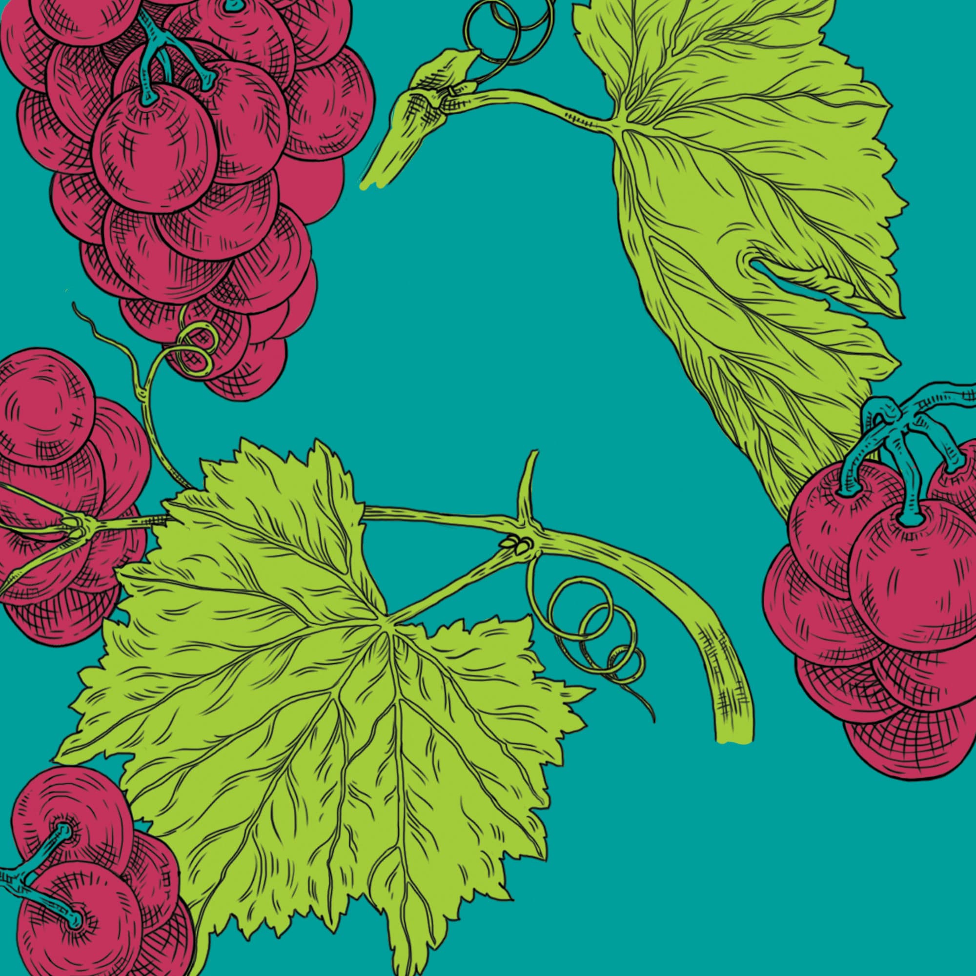 Illustration colorée de grappes de raisin mauves et de feuilles de vigne vertes disposées sur un fond bleu uni.