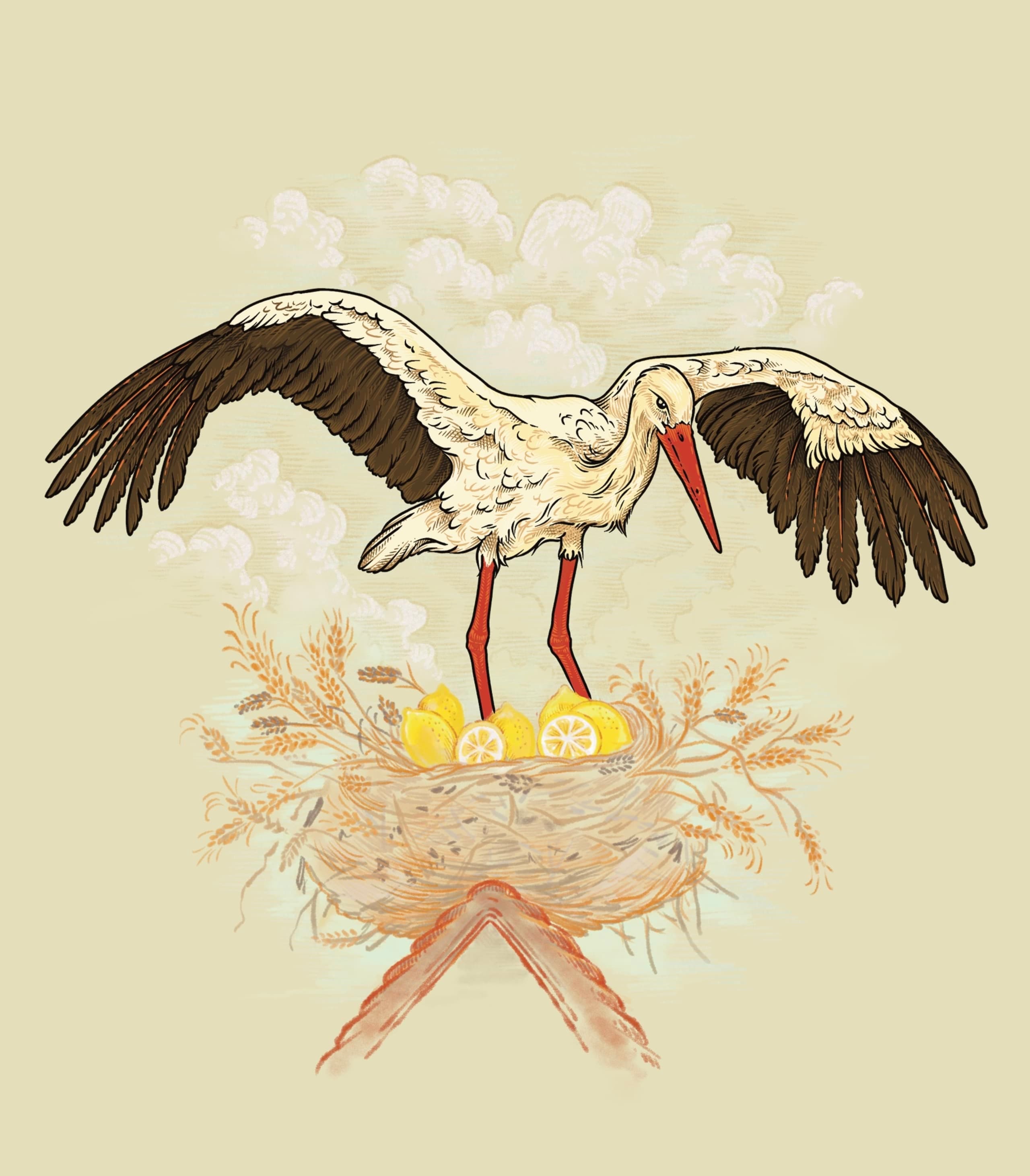 illustration d'une cigogne abritant un nid garni d'œufs