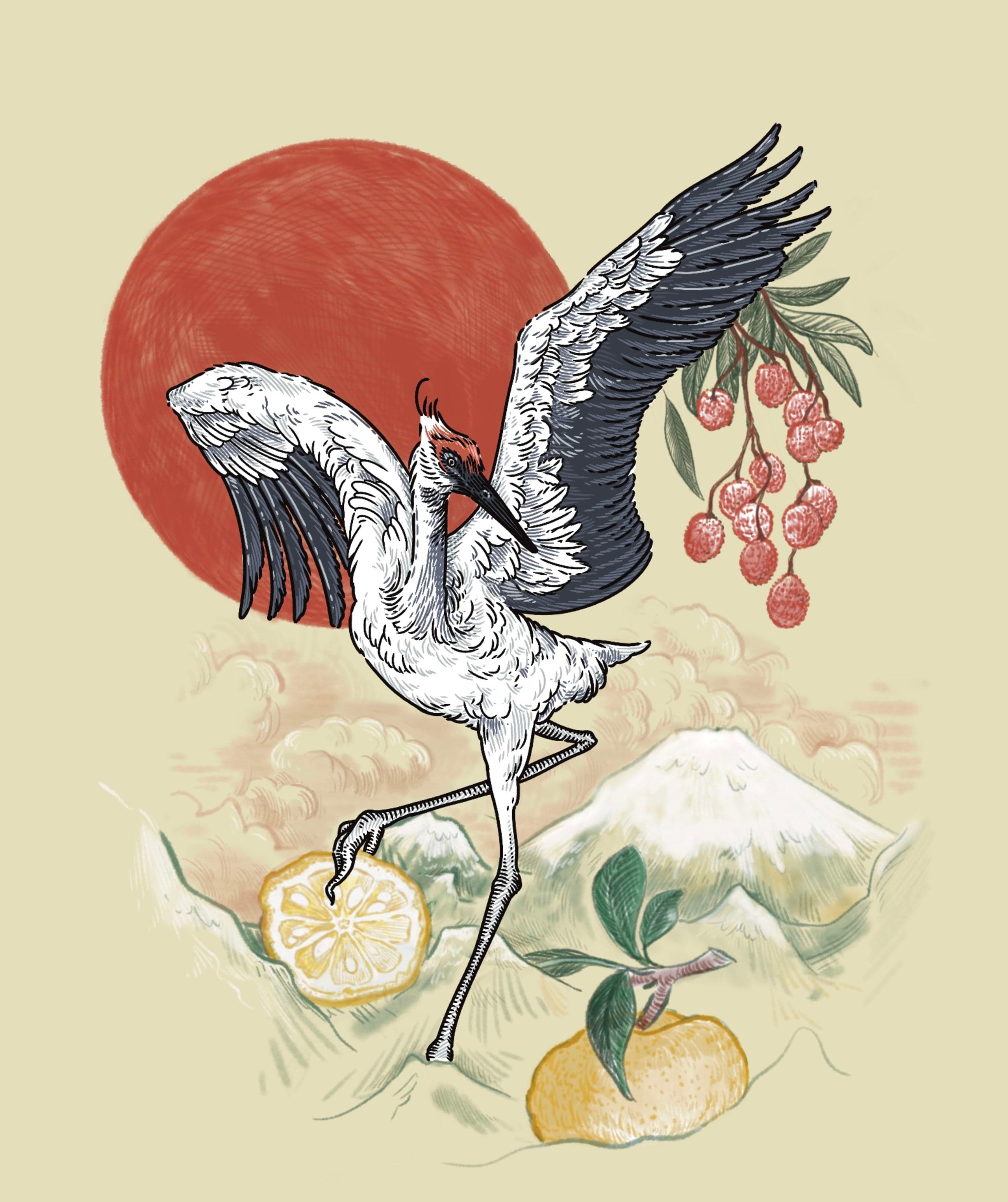 illustration au trait fin d'une grue aux ailes déployées