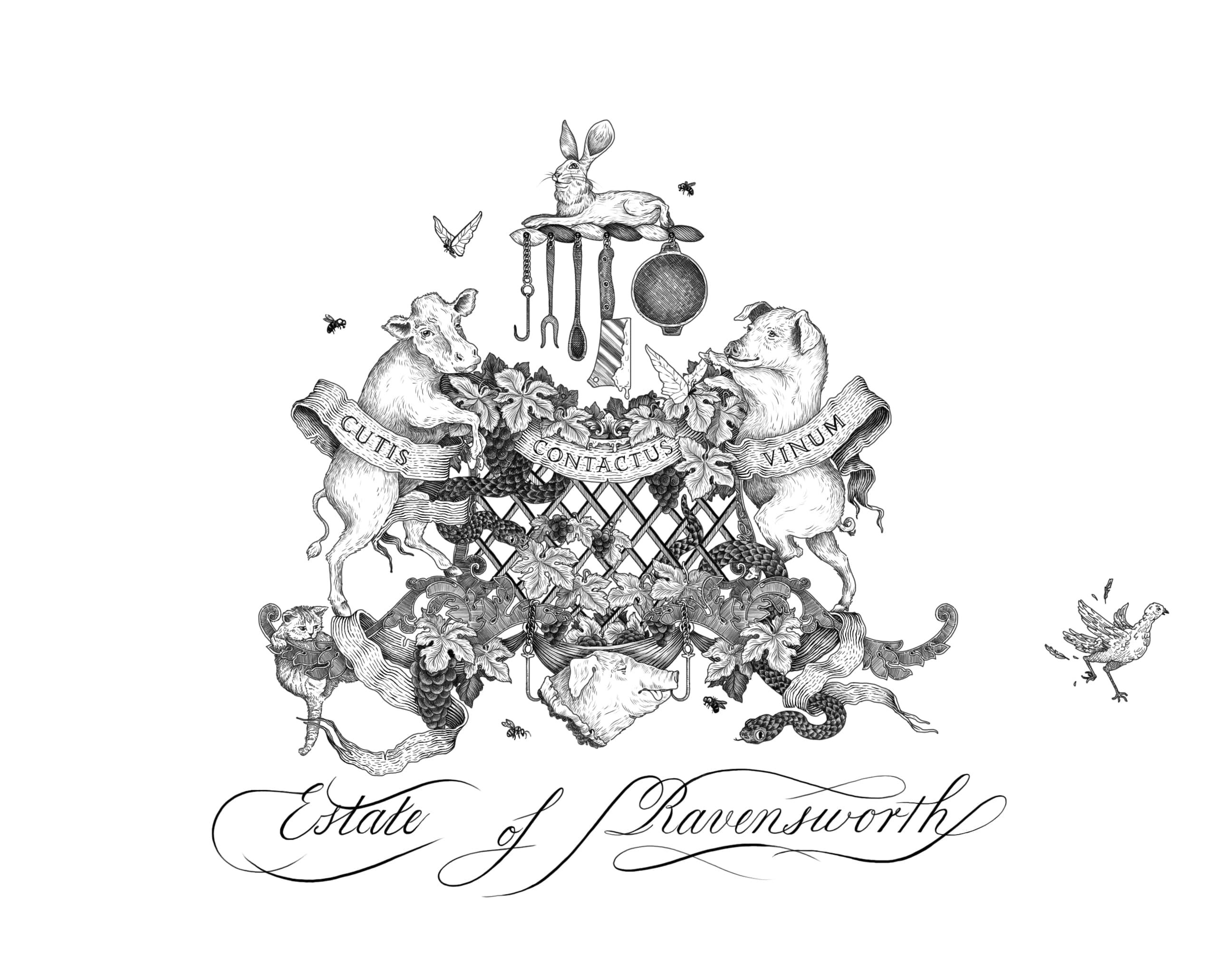 illustration héraldique au trait fin pour le vin Ravensworth