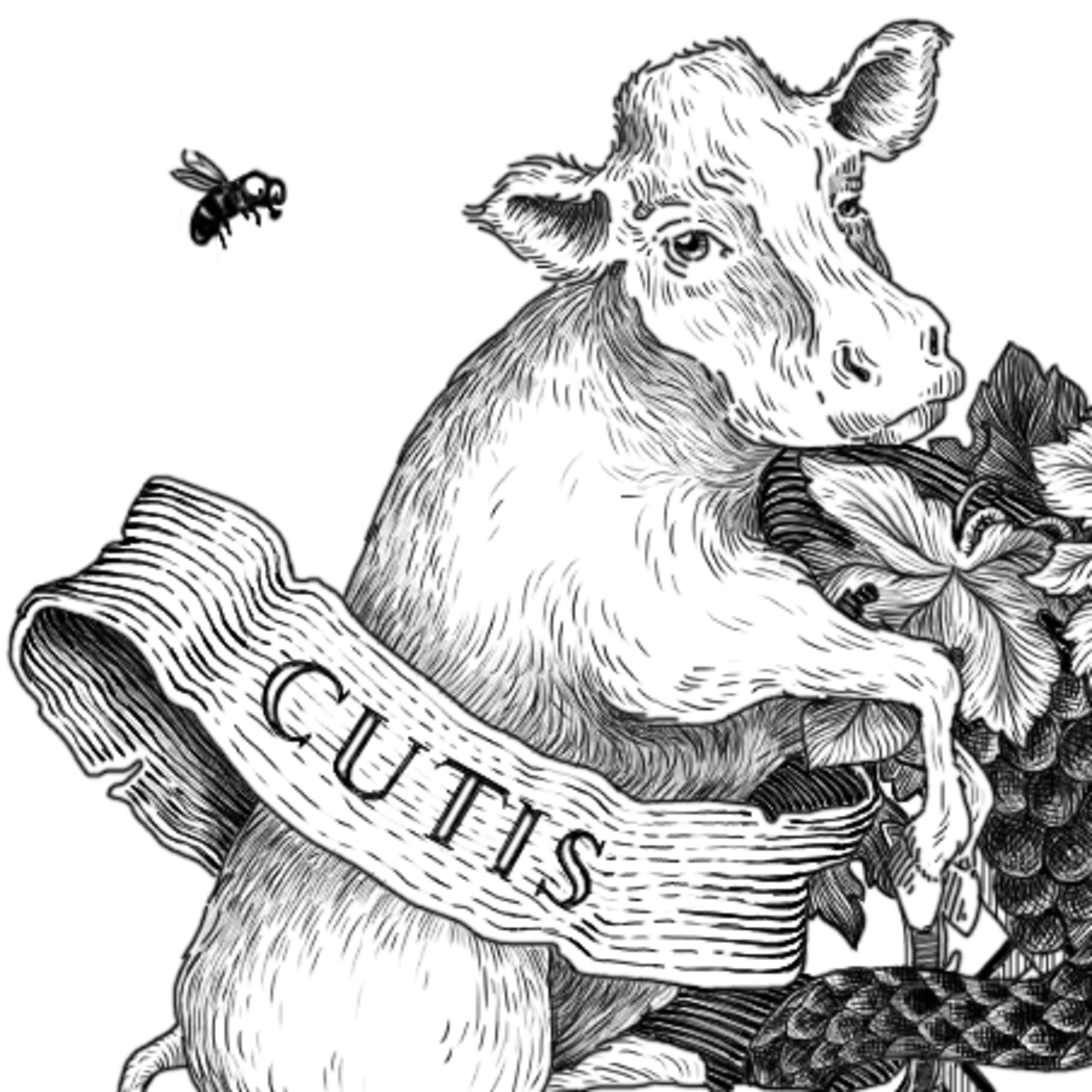 détail de l'illustration Ravensworth, vache avec grappe de raisin