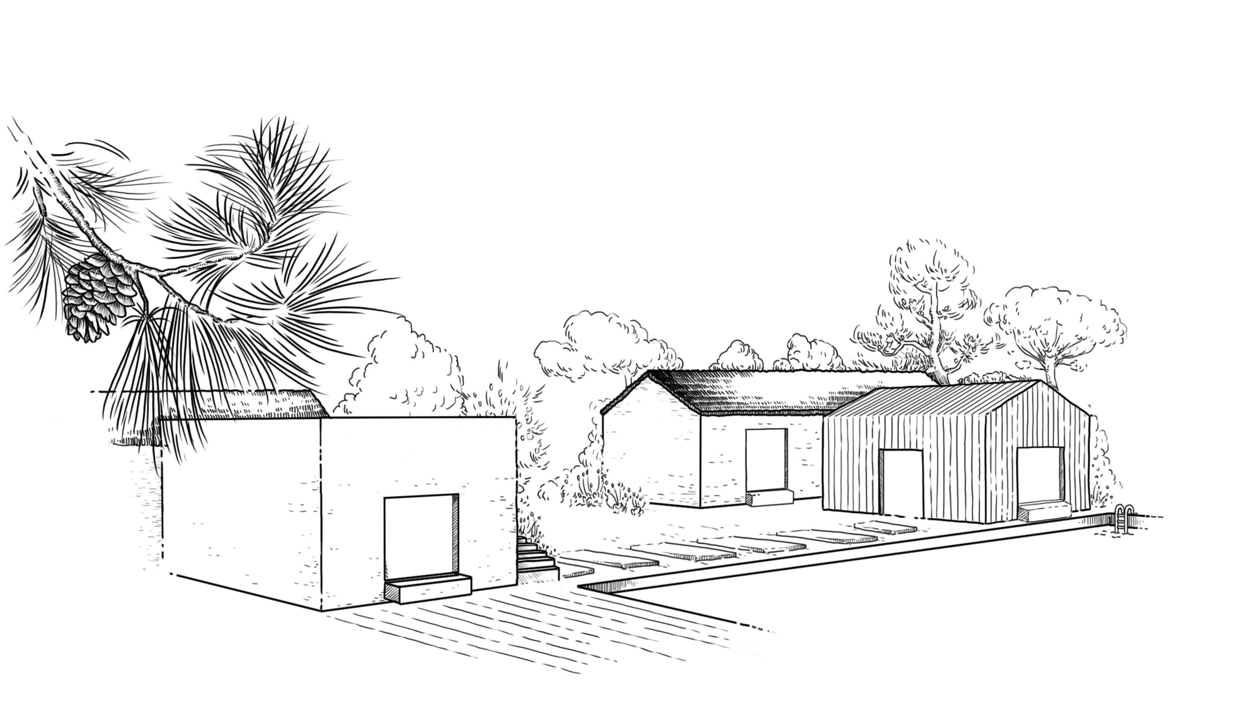 Black line architectural drawing showing three connected building volumes with pine branch and palm frond in upper left, on white background.