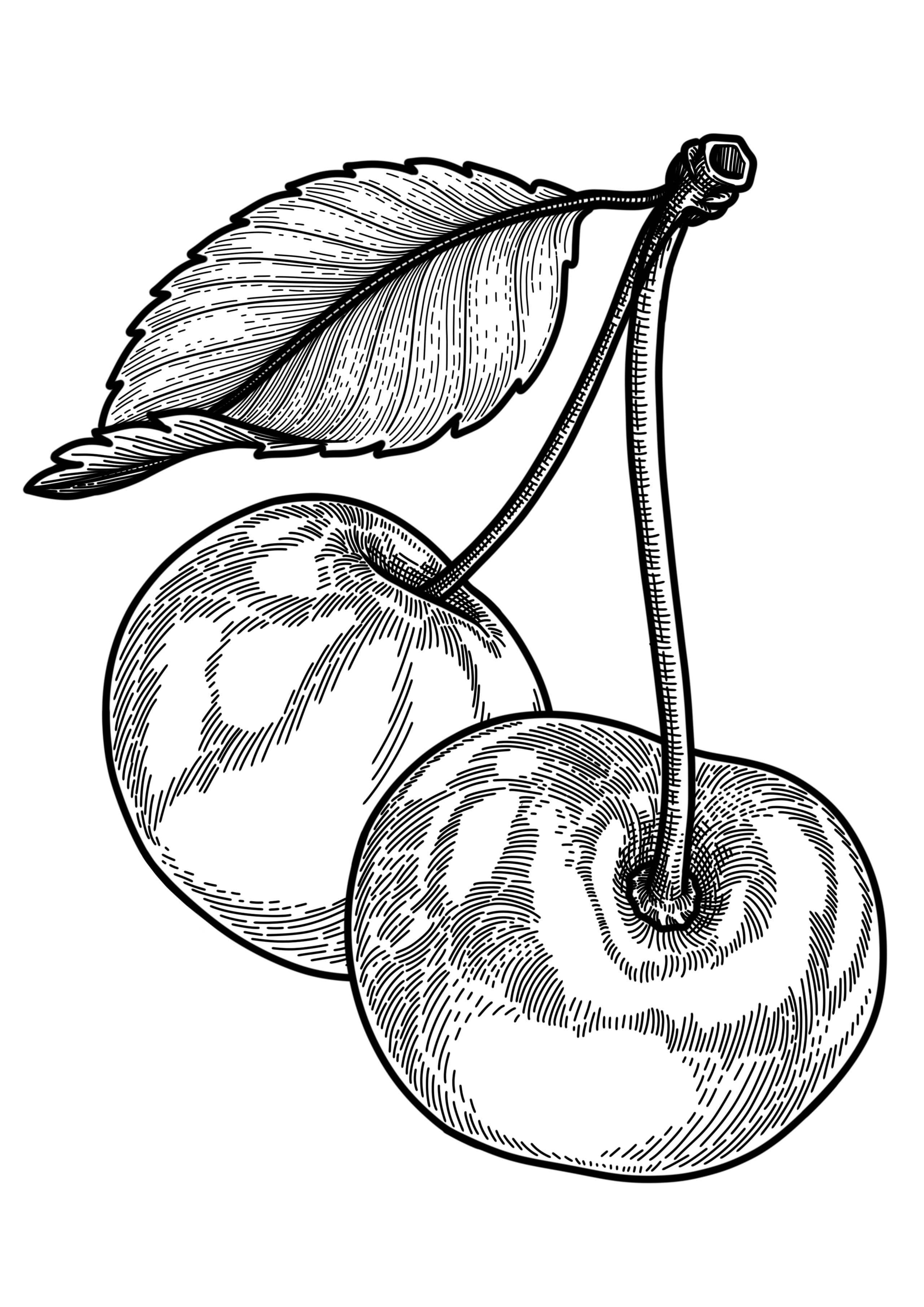 Cherry3 rc2n4s