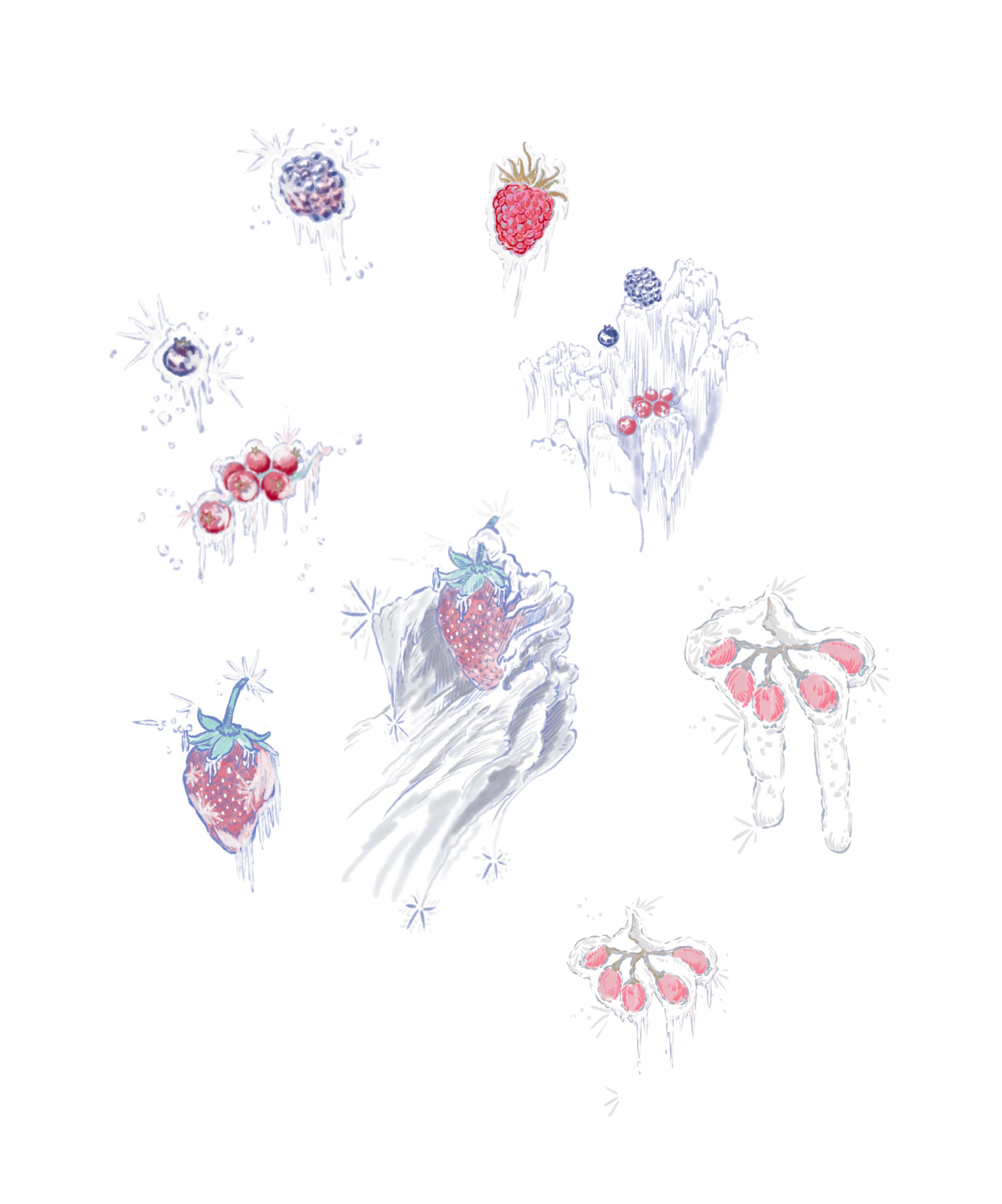 Frozen berries t0j5dl