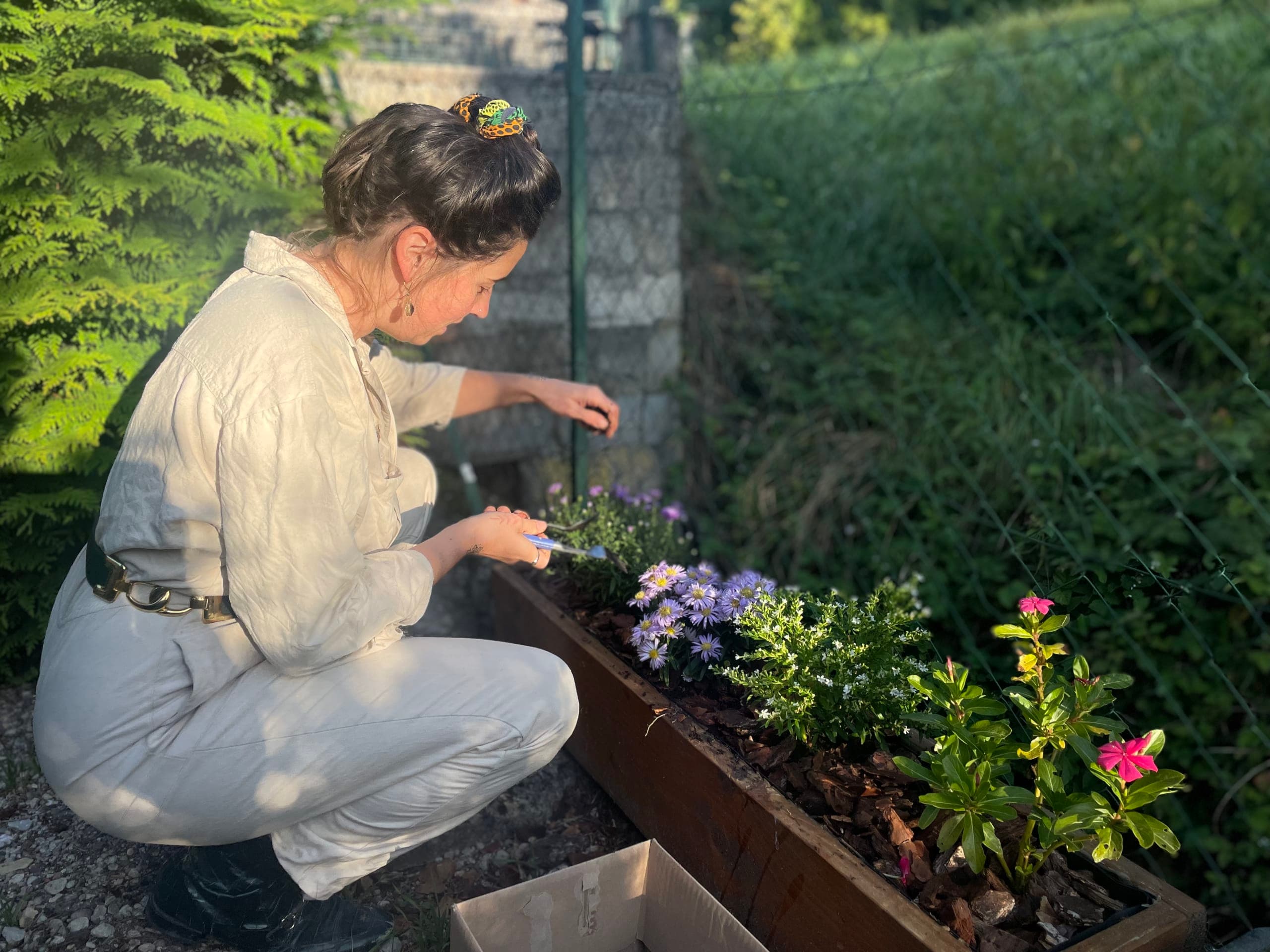 Margot crouching beside a garden planter, examining purple and pink flowers at close range — gathering live botanical reference in late-afternoon light.