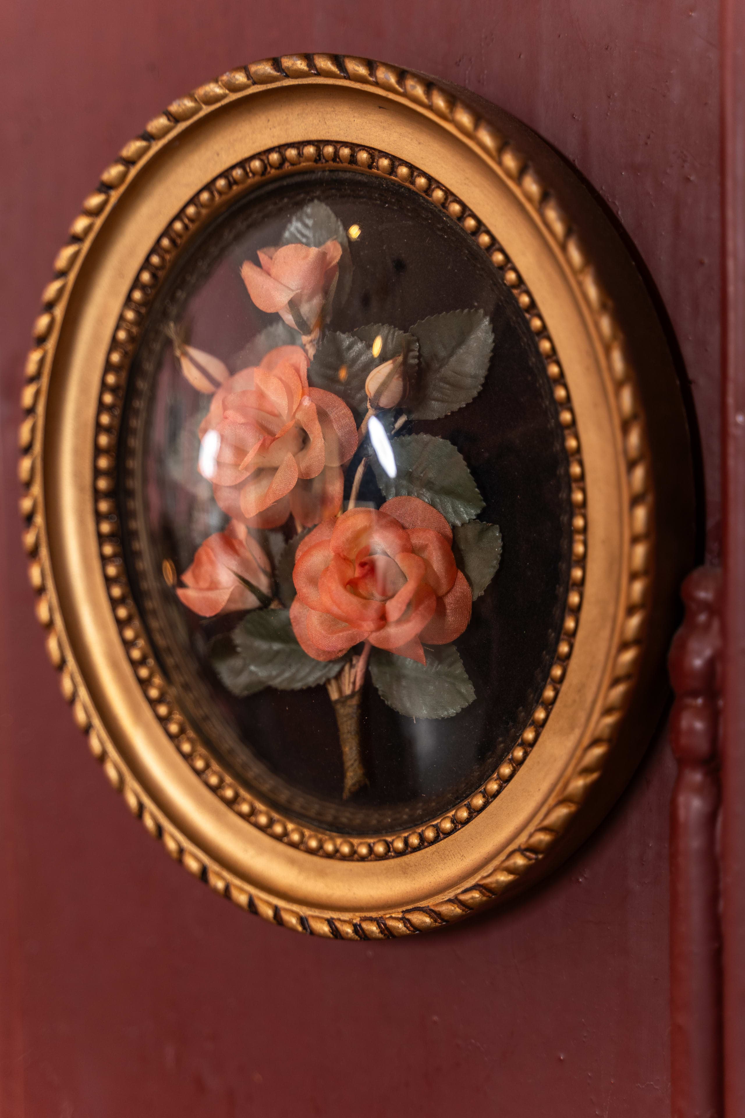 Illustration botanique encadrée sous verre dans un cadre doré, pièce de galerie