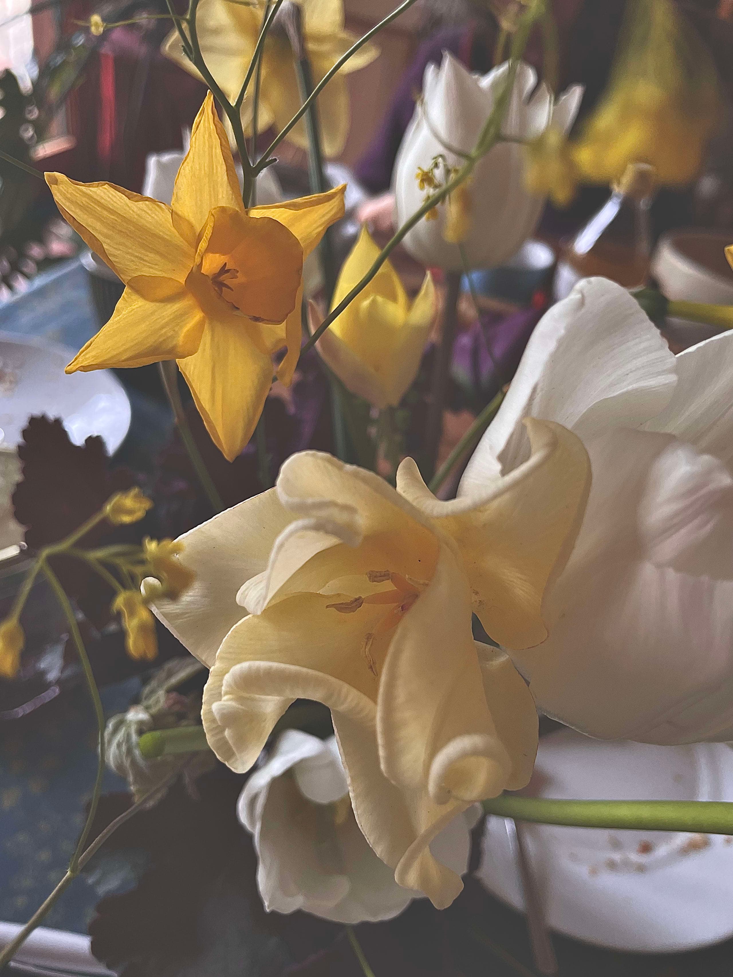 Composition de tulipes Triumph illustrées en style eau-forte fin