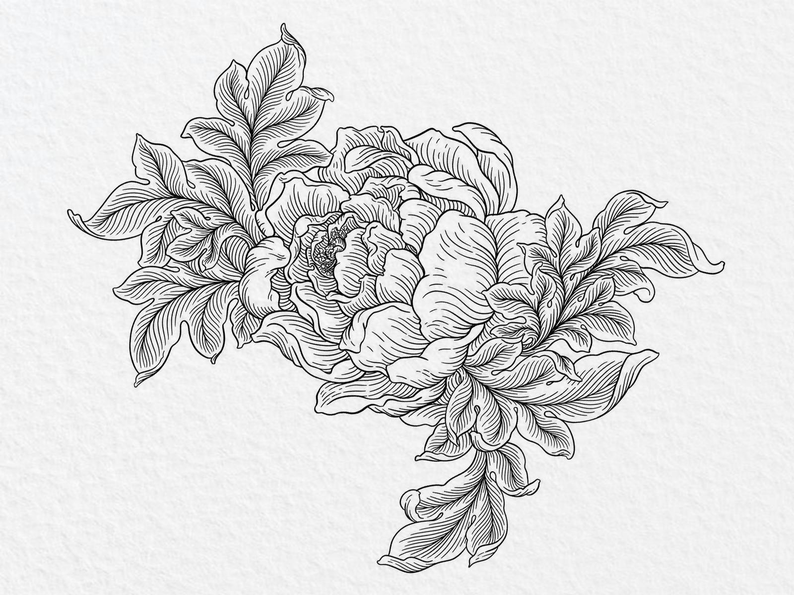 Illustration au trait noir sur papier d'une rose