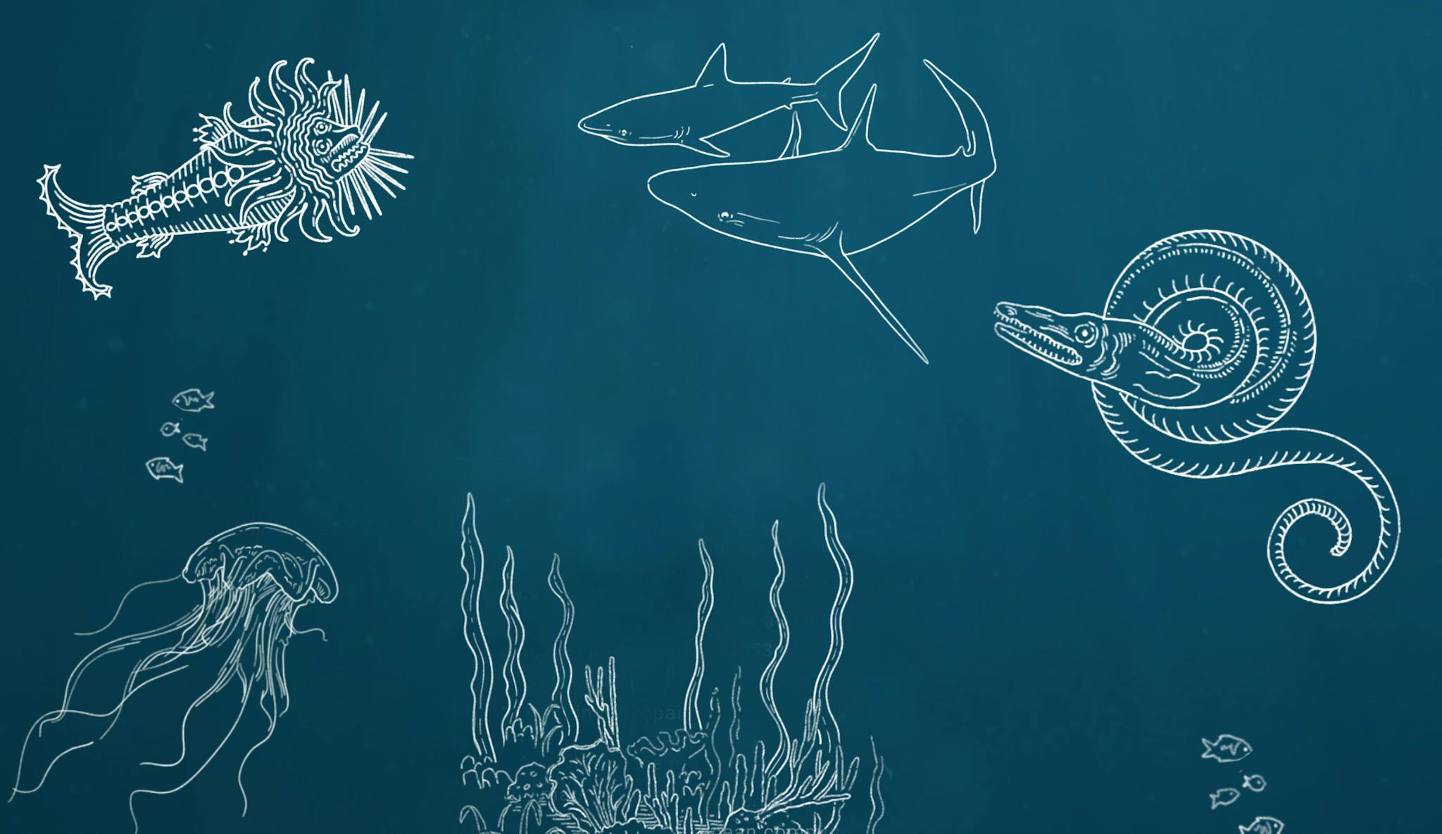 Fond marin bleu avec des illustrations au trait blanc de requin, de méduse, de monstre marin et d'algues