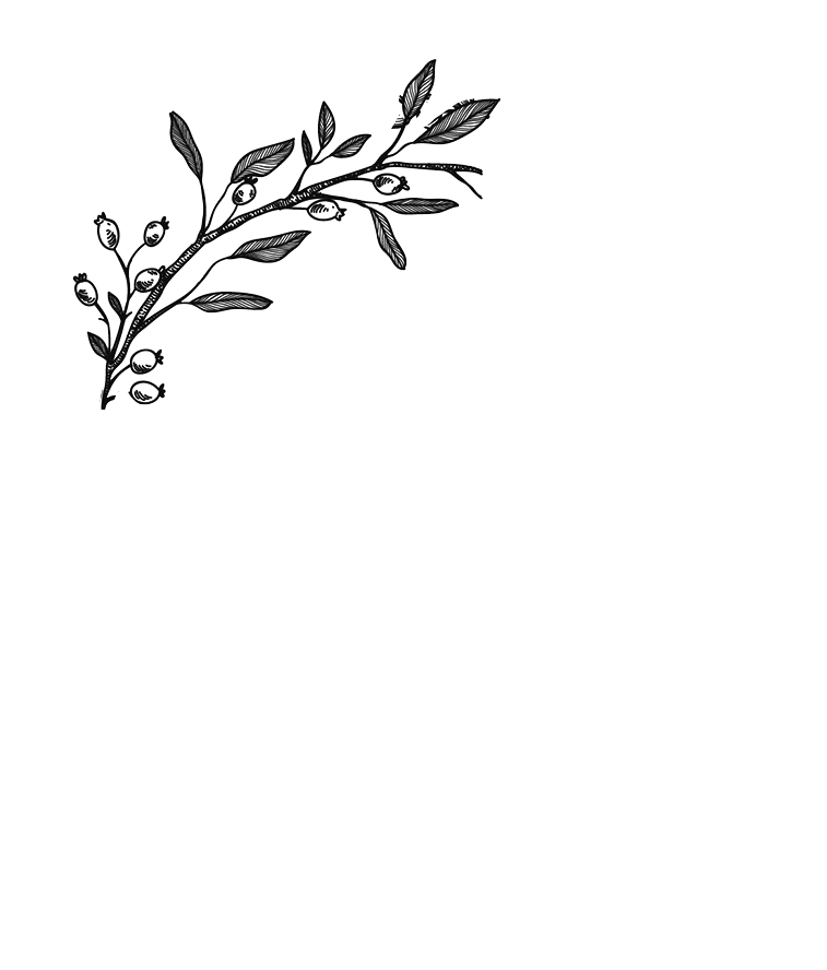illustration d'une couronne de Noël pour la thébox