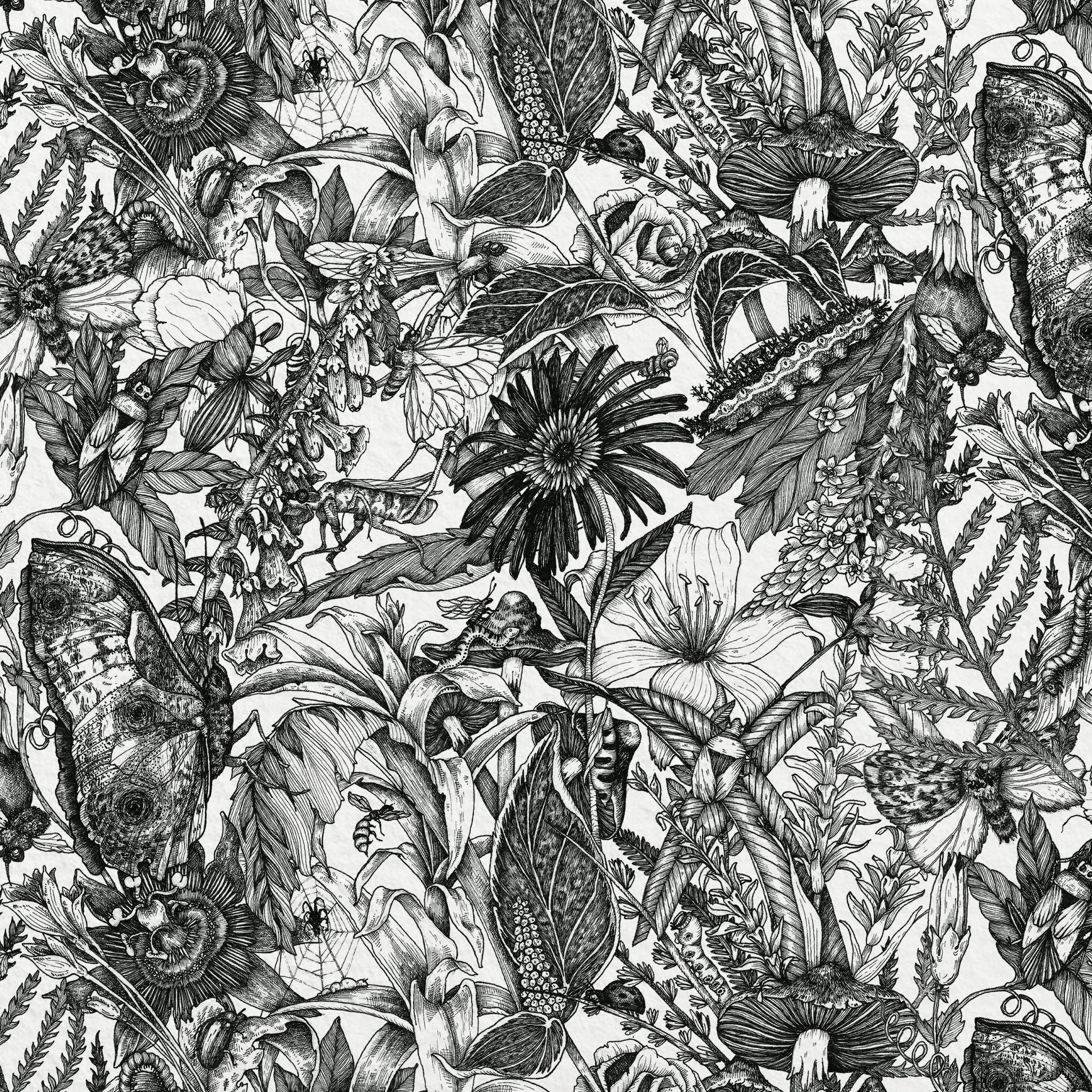 illustration en noir et blanc de fleur pour papier peint